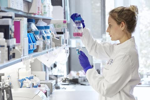 A scientist in a laboratory holding a flask with pink liquid inside.